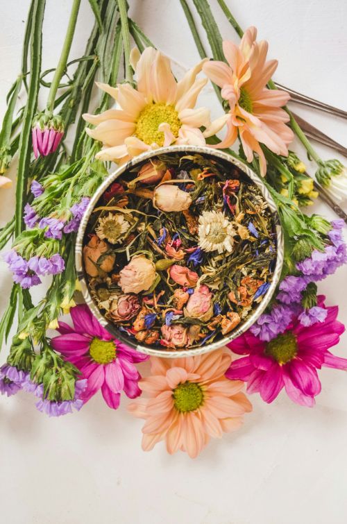 Wilde Blumen auf einer Wiese