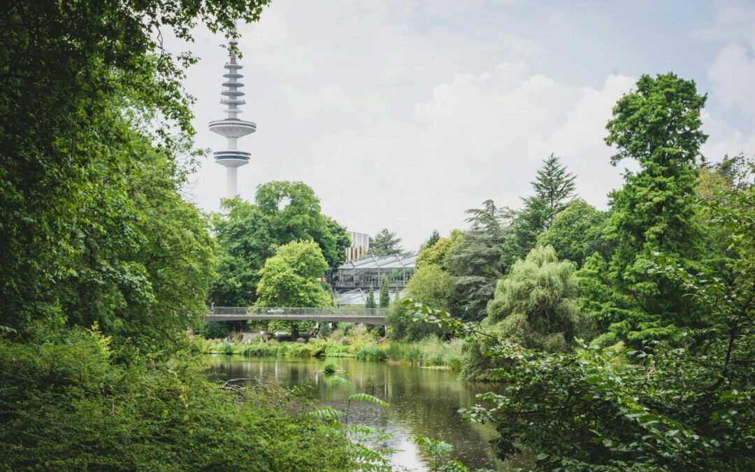 12.04.2024 – Frühlingskräuter im Tierpark Berlin